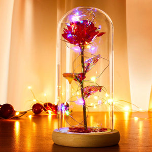 Red Rose In Glass Dome with Led lights Mood Lighting