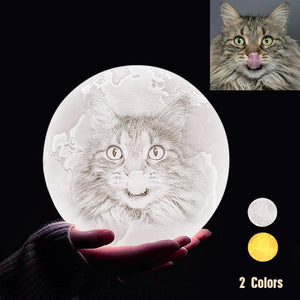 Personalized 3D Printing Photo&Engraved Earth Lamp - For Pet Lover - Touch 2 Colors(10cm-20cm)
