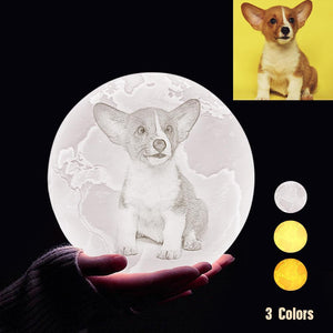 Personalized 3D Printing Photo&Engraved Earth Lamp - For Pet Lover - Tap 3 Colors(10cm-20cm)